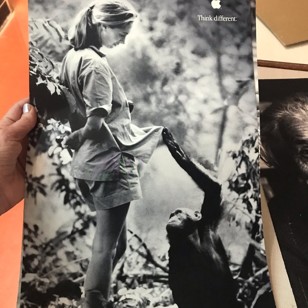 Apple Think Different Iconic Black and White Poster Collection. All 8 posters.